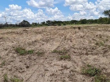 Farm & Agricultural Land