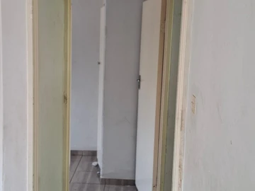 Flat & Apartment