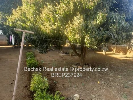 3-Bed Romney Park Home — Walled, Verandah & Fireplace
