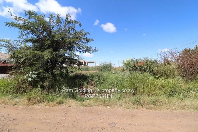 Sandton Park Stand for Sale