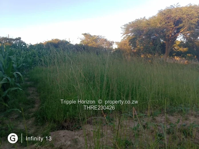2,000m² Stand in Marondera – Main Road Frontage & Services (Sole Mandate)