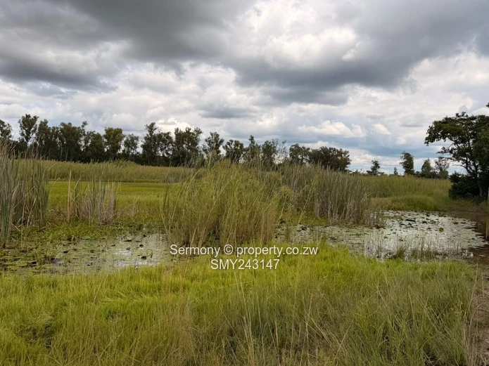 Plots for sale in Chegutu 