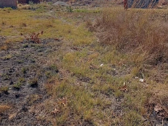 Land
