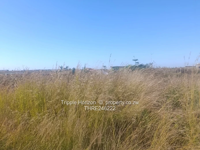 1000m² Norton Stand — Level, built up area