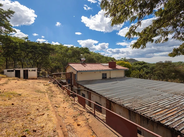 Farm & Agricultural Land