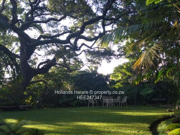 Incredible property in Glen Lorne