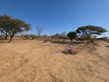 Farm & Agricultural Land