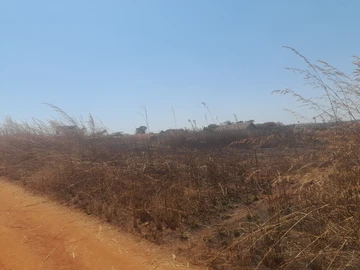 Stands & Residential Land