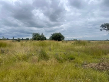 Farm & Agricultural Land