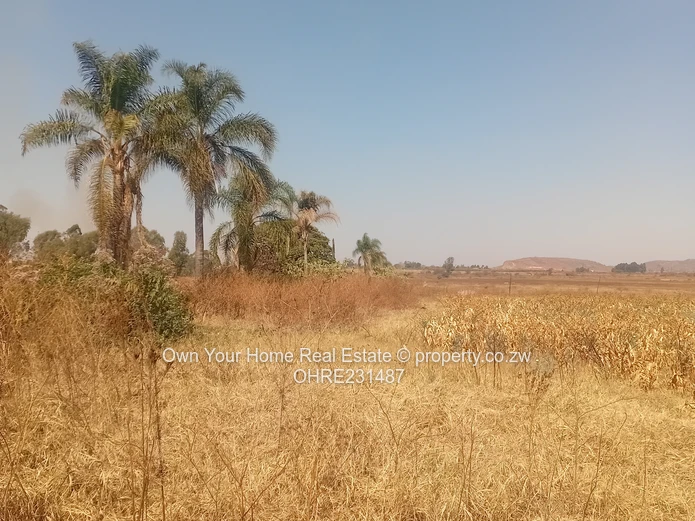 Mount Hampden Plot For Sale 