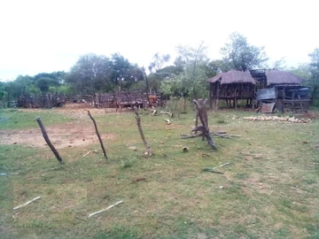 Farm & Agricultural Land