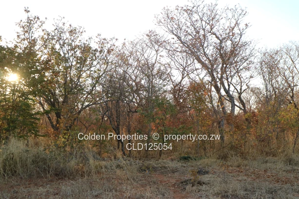 For the Discerning Investor (Sole Mandate)