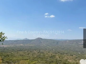 Farm & Agricultural Land