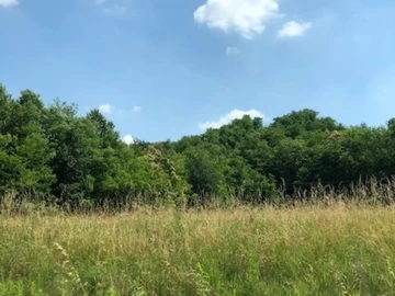 Farm & Agricultural Land