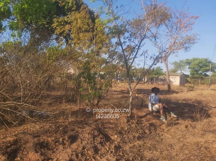 Gweru Hertfordshire stand for sale  (Sole Mandate)