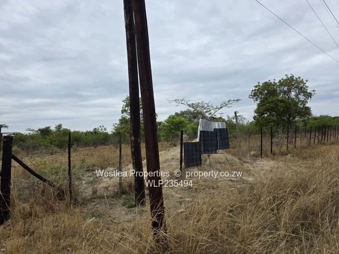 An opportunity not to miss