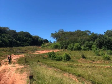 Farm & Agricultural Land