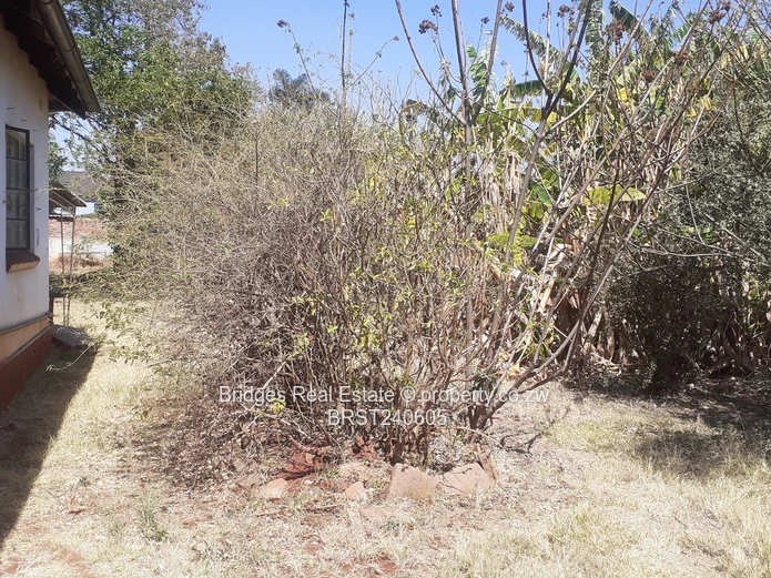 Location ,location ,location 