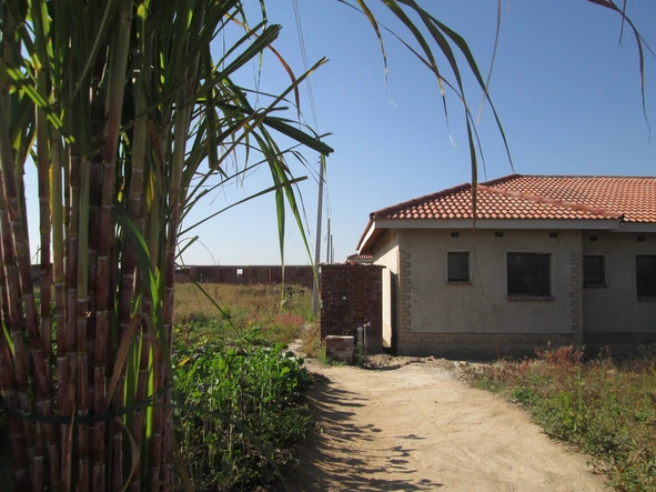 Stands & Residential Land