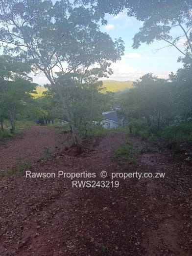 Build your dream home