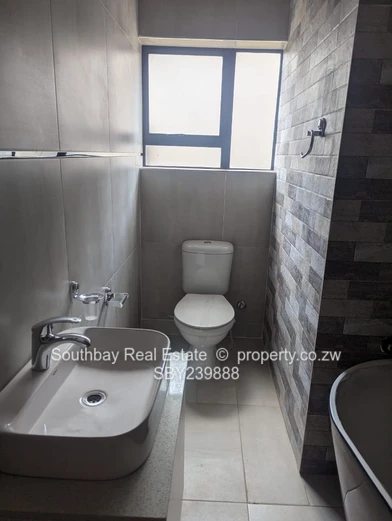 Investment Opportunity