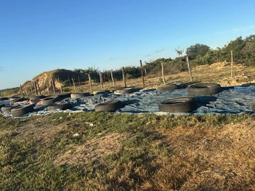 Farm & Agricultural Land