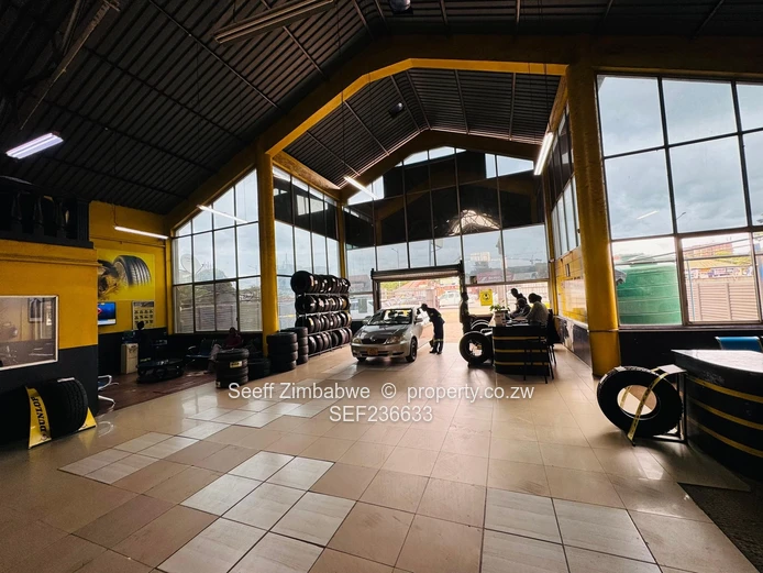 Prime Commercial Opportunity on Samora Machel Avenue (Sole Mandate)