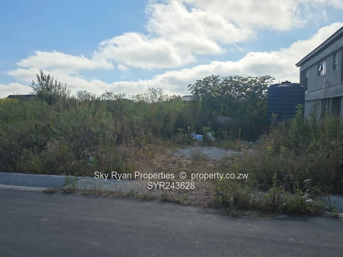 Arlington East Stand For Sale 