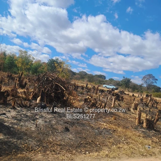 PRIME 2000m² SERVICE STATION STAND - HARARE-MUTARE Highway 