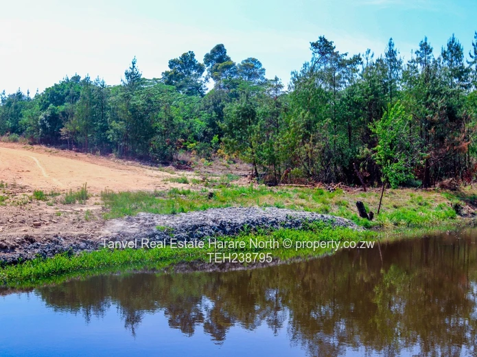 NYANGA STANDS AVAILABLE! Nestled in a beautiful, secluded, valley in Nyanga . Located near London St