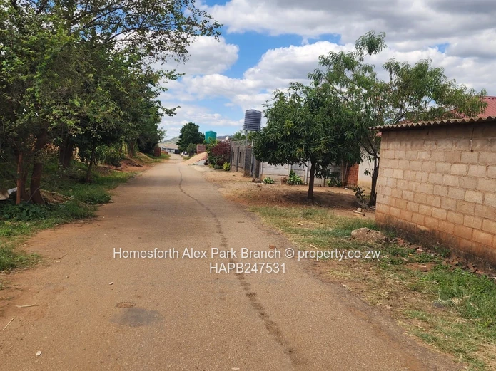 Commercial stand for sale 