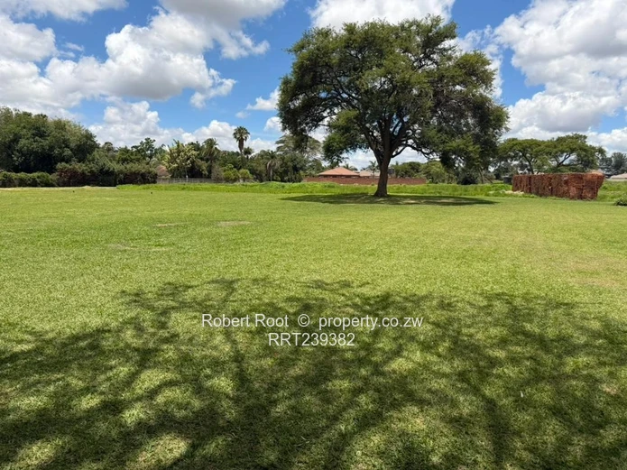 Investor's Delight, Commercial Land 