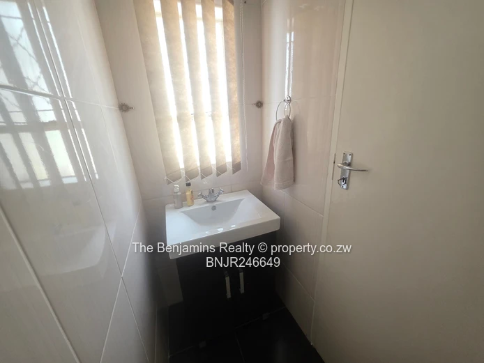 Fully Furnished Garden Flat In Avondale