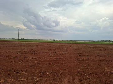 Farm & Agricultural Land
