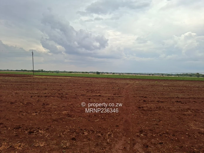 Beatrice Farm for sale (Sole Mandate)