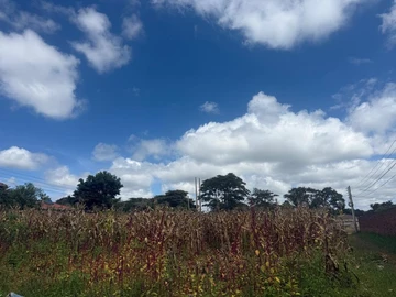 Stands & Residential Land