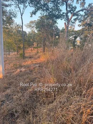 1800 m² Stand in Carrick Creagh – Private & Elevated