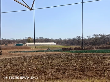 Farm & Agricultural Land