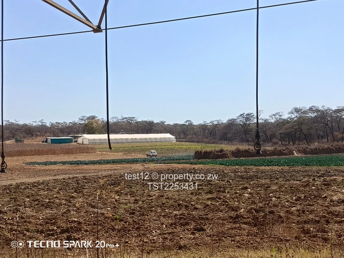 Mazowe Farm For Sale  (Sole Mandate)