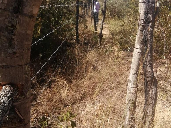 Farm & Agricultural Land