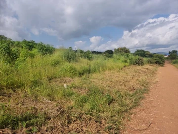 Commercial & Industrial Land