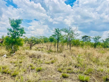 Commercial & Industrial Land