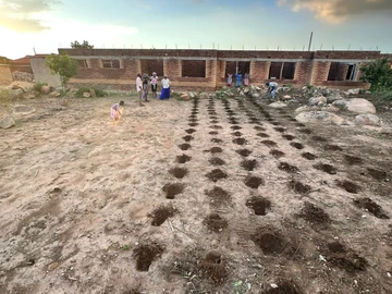 Stands & Residential Land