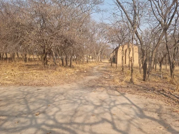 Farm & Agricultural Land