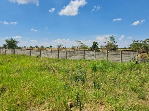 Farm & Agricultural Land