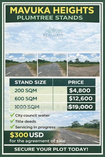 Plumtree Stands Now Available (Mavuka Heights)