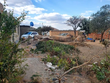 Stands & Residential Land