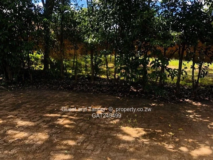 Renovator’s dream in Gletwyn, Harare North, priced at $375 000