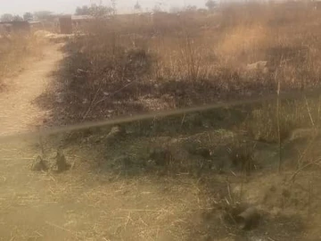Along Old Mazoe Road