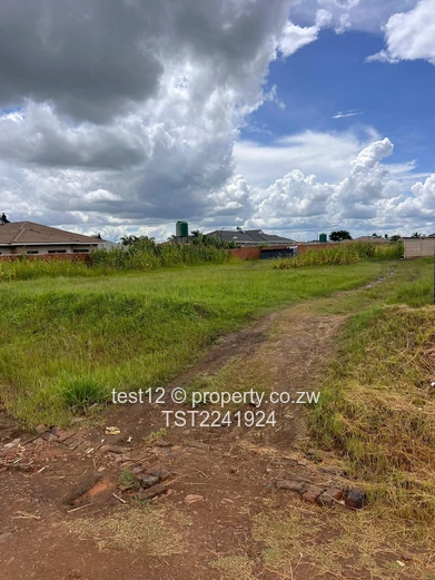 Haydon park stand for sale  (Sole Mandate)